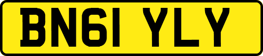 BN61YLY