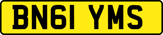 BN61YMS