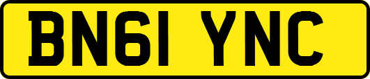 BN61YNC