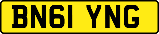 BN61YNG
