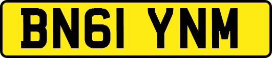 BN61YNM