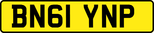 BN61YNP