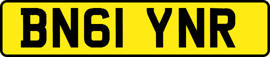 BN61YNR