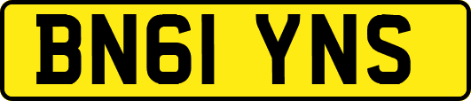 BN61YNS