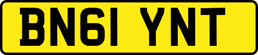 BN61YNT