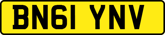 BN61YNV