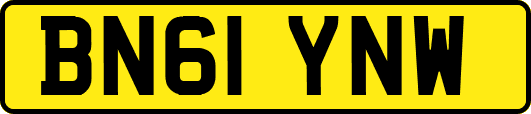 BN61YNW