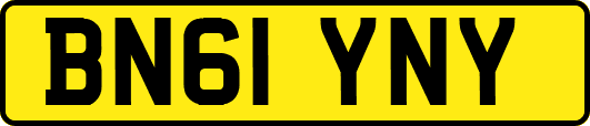 BN61YNY