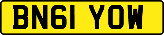 BN61YOW