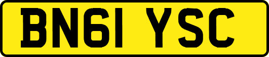 BN61YSC
