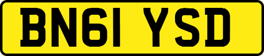 BN61YSD