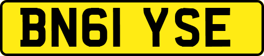 BN61YSE