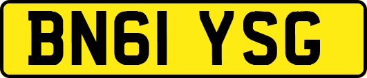BN61YSG