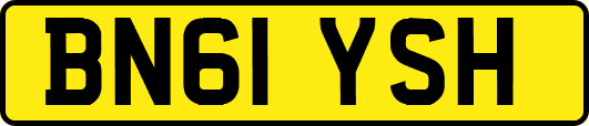 BN61YSH