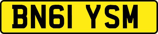 BN61YSM