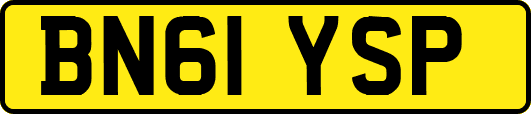 BN61YSP