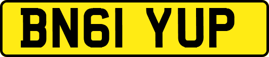 BN61YUP