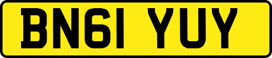 BN61YUY