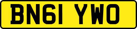 BN61YWO