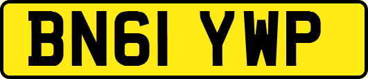 BN61YWP