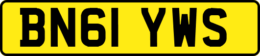 BN61YWS