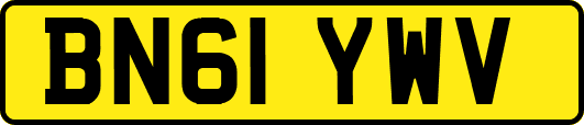 BN61YWV