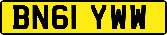 BN61YWW
