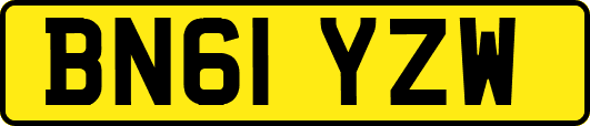 BN61YZW