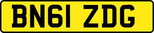 BN61ZDG
