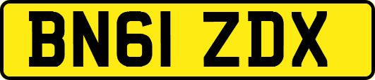 BN61ZDX