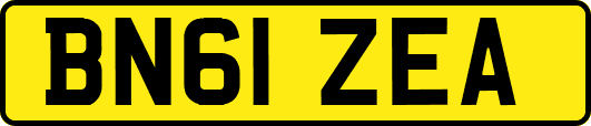 BN61ZEA