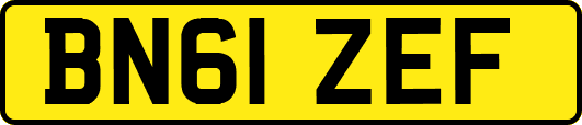 BN61ZEF