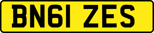 BN61ZES