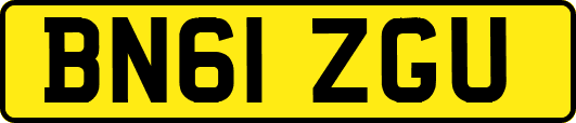 BN61ZGU