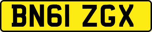 BN61ZGX