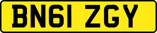 BN61ZGY