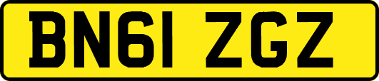 BN61ZGZ