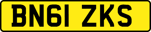 BN61ZKS