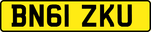 BN61ZKU