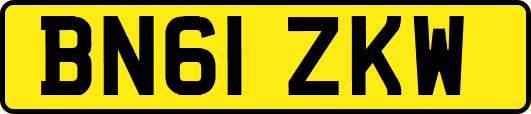 BN61ZKW