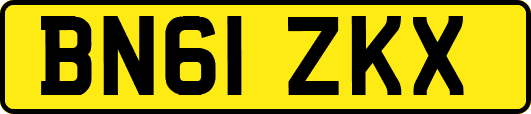 BN61ZKX