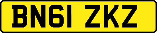 BN61ZKZ