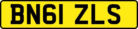 BN61ZLS