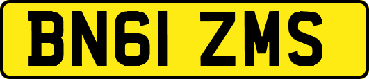BN61ZMS