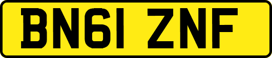 BN61ZNF