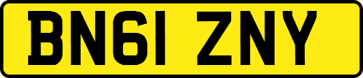 BN61ZNY