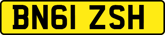 BN61ZSH