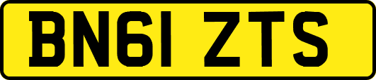BN61ZTS