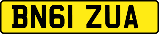 BN61ZUA