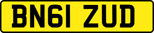 BN61ZUD